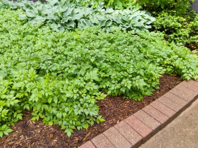 Brick Hardscaping in Fairfield County, CT